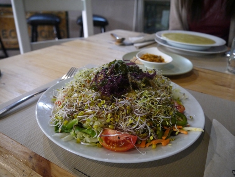 vegetarian-vegan-food-in-seville-spain-renegade-travels